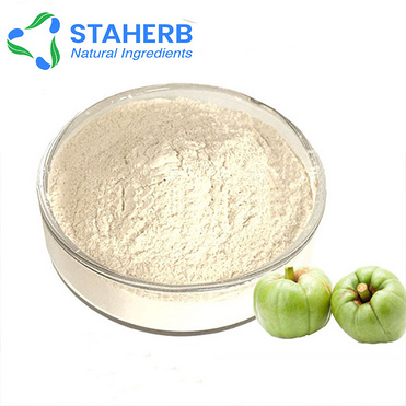 China manufacture supplier pure garcinia cambogia extract Hydroxycitric Acid