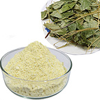 High Quality and Good Price Epimedium Extract icariin 60%