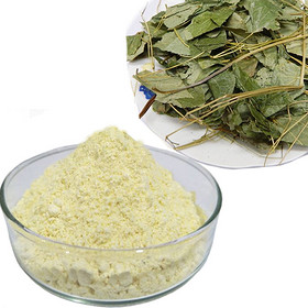 High Quality and Good Price Epimedium Extract icariin 60%