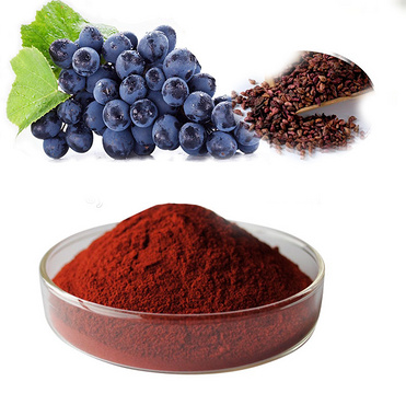 100% Natural grape seed extract Proanthocyanidins