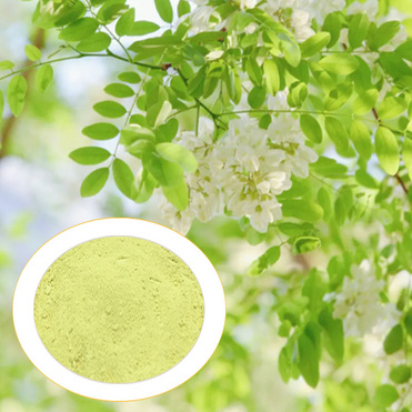 Best selling product Sophora Japonica Extract, Rutin, Quercetin powder