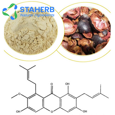 Herbal Extract Mangosteen Extract Mangostin mangosteen extract powder