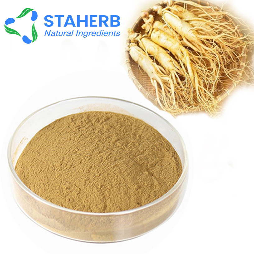 Ginsenoside ginseng root extract Ginsenoside 5%-80% ginseng extract