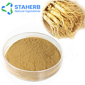 Ginsenoside ginseng root extract Ginsenoside 5%-80% ginseng extract