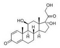 prednisolone