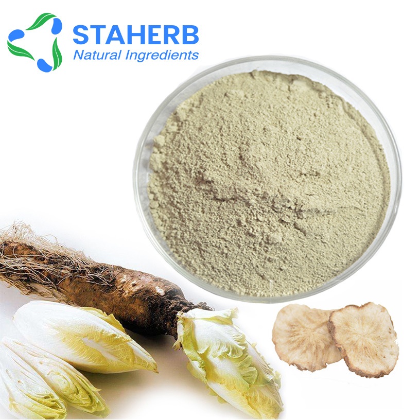 Chicory Root Extract 5%-95% Inulin