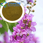 Lagerstroemia Speciosa Extract corosolic acid  4547-24-4