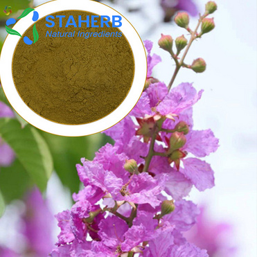 Lagerstroemia Speciosa Extract corosolic acid  4547-24-4