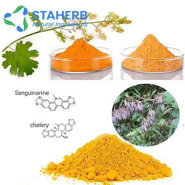 China manufacture supplier free samples Macleaya cordata extract Sanguinarine