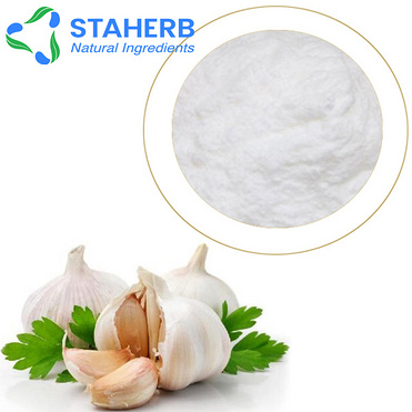 1% 2% Allicin Garlic Extract 20:1, 100:1 Allicin 100% pure garlic extract