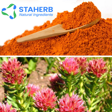China manufacture supplier competitive price Salidroside Natural Rhodiola Rosea Extract