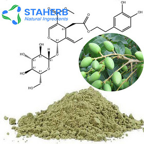 Best selling product competitive price Oleanolic acid Olea Europaea Extract