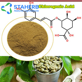 Green coffee bean extract