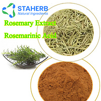 rosemary leaf extract Rosmarinic acid 20283-92-5