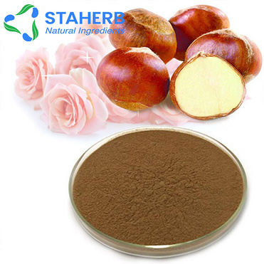 Factory direct sale competitive price Horse Chestnut Extract Escin