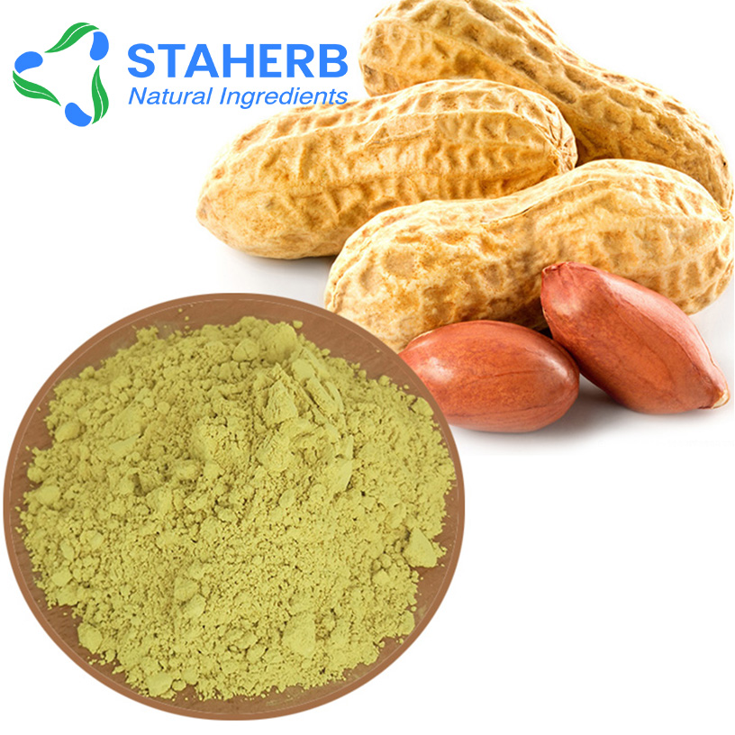 Peanut Shell Extract peanut skin extract 80%-98% luteolin Powder