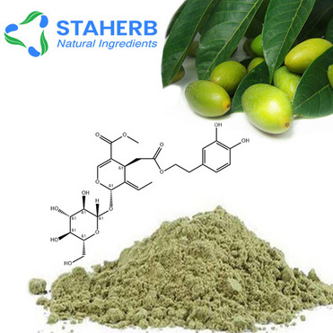 Factory supply China manufacturer Olive leaf extract/ Oleuropein 10%-60% /CAS 32619-42-4