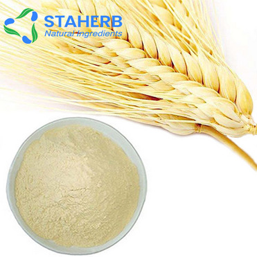 wheat flour semolina harina de trigo Flour wheatmeal