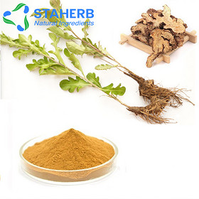 Atractylodes lancea Changzhu disinfectant atratylodes rhizome rhizoma atractylodis extract