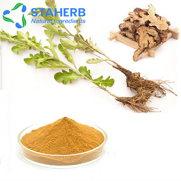 Atractylodes lancea Changzhu disinfectant atratylodes rhizome rhizoma atractylodis extract