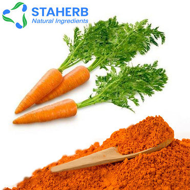 Carrot Extract Beta-carotene beta-carotene price carrot powder