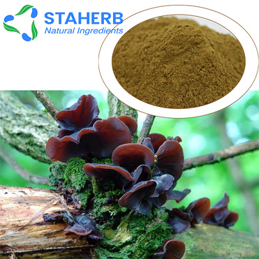 black fungus Auricularia wood ear Auriculariales tree ear extract