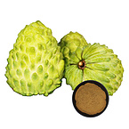 Bulk10:1 20:1 Soursop Extract Powder