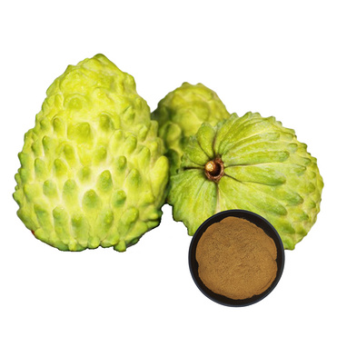 Bulk10:1 20:1 Soursop Extract Powder