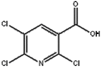 2,5,6-tetrachloropyridine