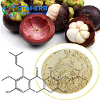 Mangosteen extract Mangosteen polyphenols