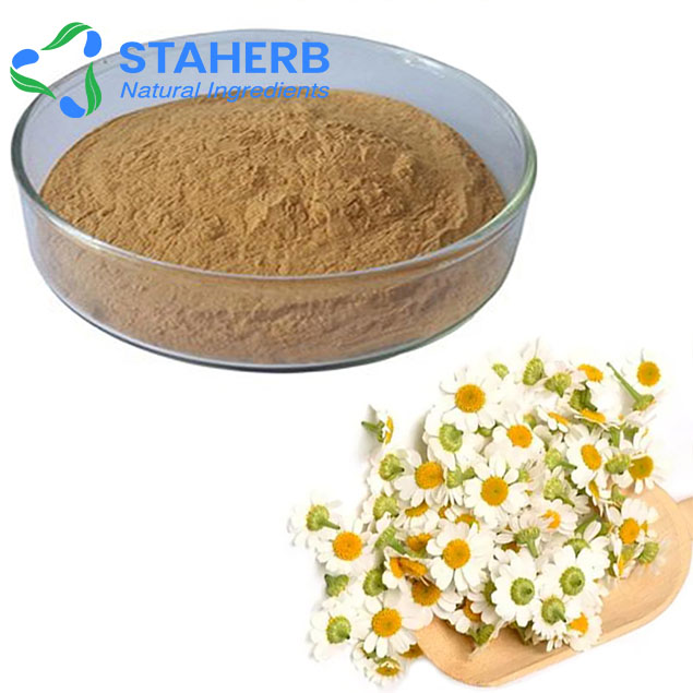 Feverfew Extract Feverfew Chrysanthemum parthenium extract feverfew p.e