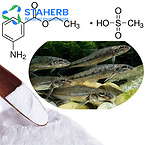 ms-222 cas 886-86-2 Tricaine methanesulfonate