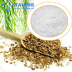 Willow, Salix alba, extWhite Willow Bark Extract White Willow Extract  Salicin White Willow Ba 138-5