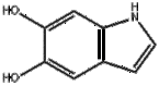 5,6-DIHYDROXYINDOLE