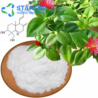 Andrographis paniculata extract Andrographolide Andro andrographolidume Andrograph 5508-58-7