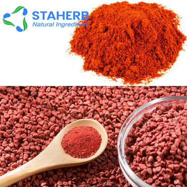 annatto achiote Bixa orellana anatto tree arnotto extract