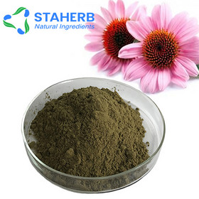 An Echinacea extract Echinacea Echinacea purpurea Echinacea pallida enzymatic echinacea purpurea ext