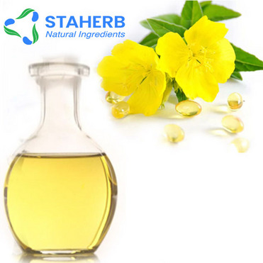 evening primrose oil Evening Primrose Seed Oil Primrose Oil