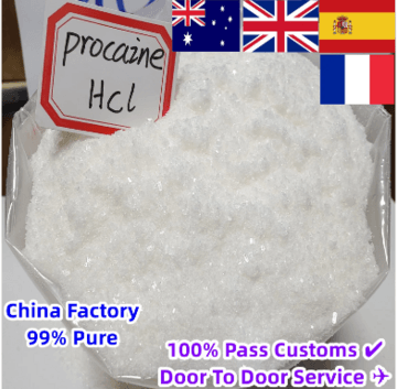 Procaine HCl/Procaine Hydrochloride  