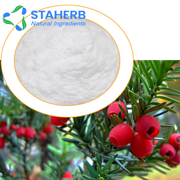 buy high quality Taxus chinensis Taxus Taxaceae TAXUS BACCATA extract ...