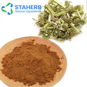 motherwort Powder extract