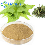 nettle root extract  nettle root extract