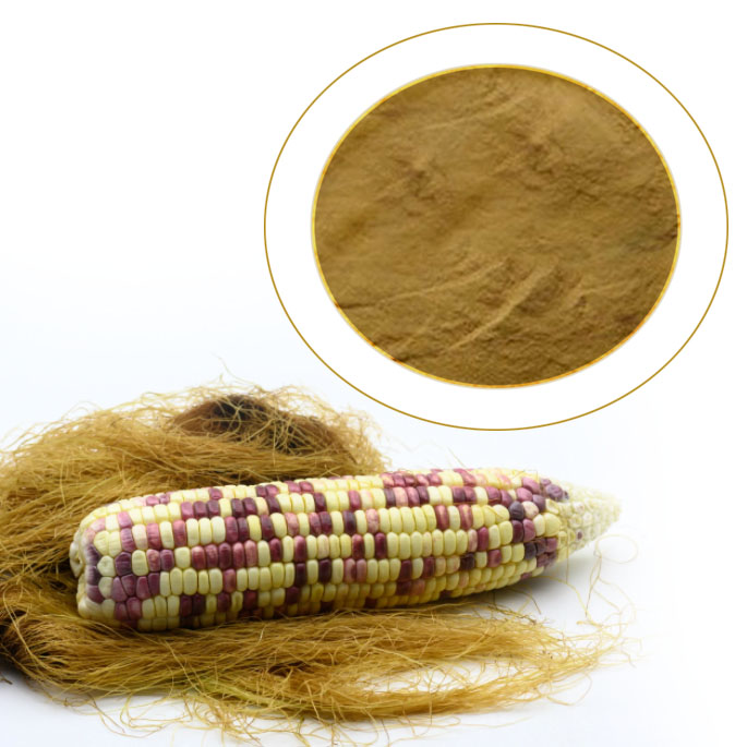 Corn Stigma Corn silk Zea mays stigma maydis stigmata maydis extract  