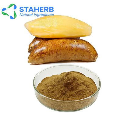 YACON Shirley fruit Polymnia sonchifolia Saussurea involucrata fruit yacon extract powder