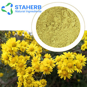 Chrysanthemum flower extract Flos Chrysanthemi Indici Extract Chrysanthemi Indici Flos P.E CHRYSANTH