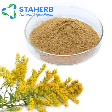 Goldenrod Herb Powder extract