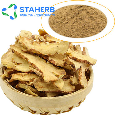 Rhizoma Anemarrhenae extract Anemarrhena asphodeloides P.E Anemarhenae Asphodeliodes Extract Rhizoma