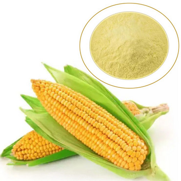 Corn Stigma Corn silk Zea mays stigma maydis stigmata maydis extract