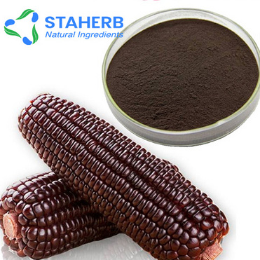 Purple corn extract