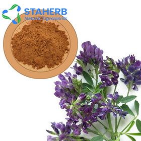 Medicago sativa alfalfa Alfalfa Extract